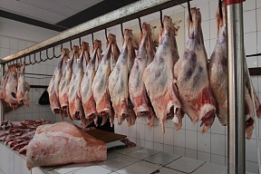 ОАЭ планируют увеличить поставки мяса из Дагестана ОАЭ планируют увеличить поставки мяса из Дагестана